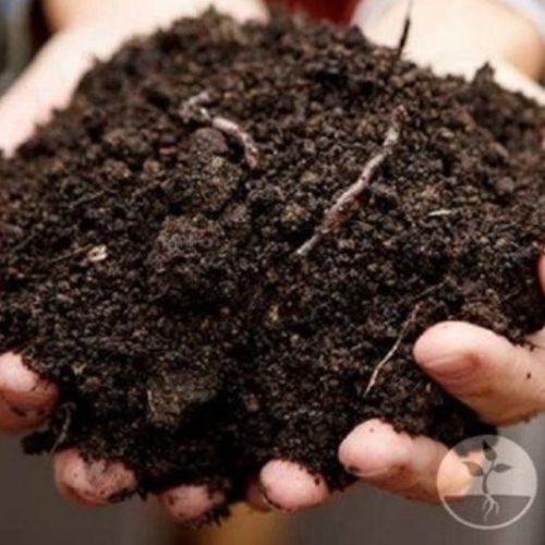 COMPOST ESPECIAL