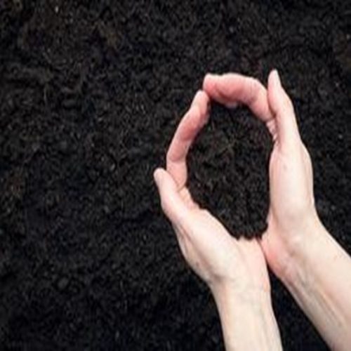 tierra negra